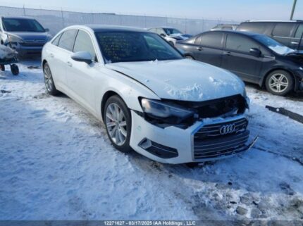 WAUD2AF29KN089676 2019 AUDI