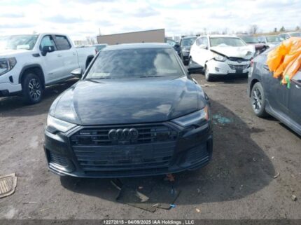 WAUM2AF24KN036481 2019 AUDI