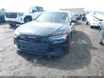 WAUM2AF24KN036481 2019 AUDI