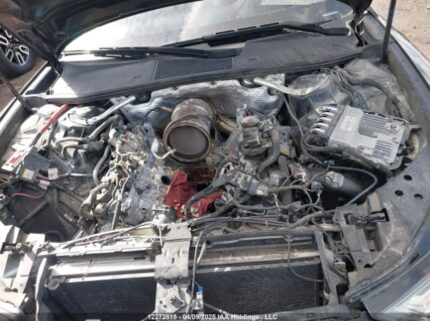 WAUM2AF24KN036481 2019 AUDI