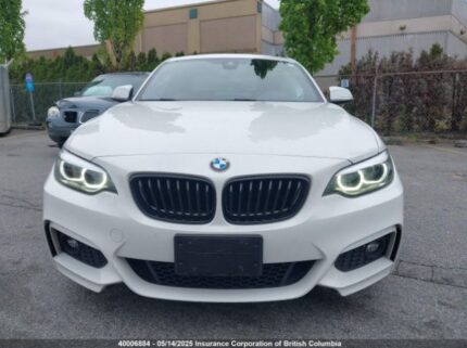 WBA2J3C08L7E23682 2020 BMW