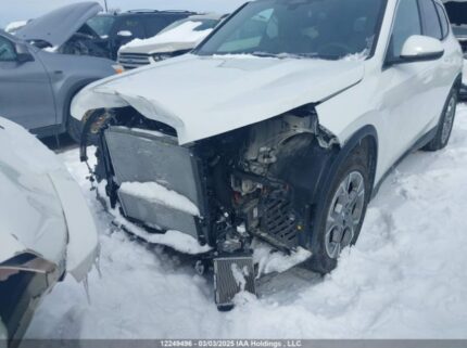 WBX73EF03S5074418 2025 BMW