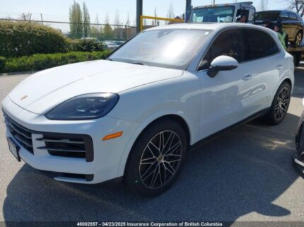 WP1AA2AY5RDA04664 2024 PORSCHE