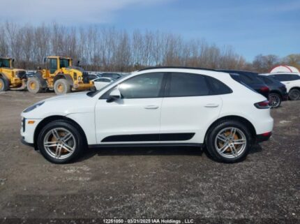 WP1AB2A50MLB35194 2021 PORSCHE