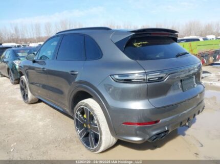 WP1AF2AY0LDA39606 2020 PORSCHE