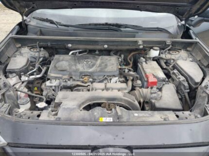 2T3B1RFV7MC148548 2021 TOYOTA