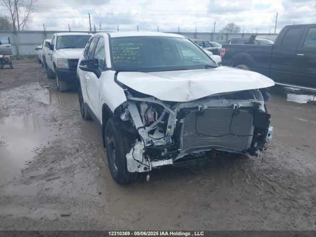 2T3B1RFV8RC397982 2024 TOYOTA