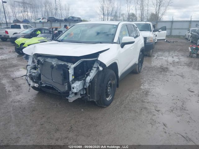 2T3B1RFV8RC397982 2024 TOYOTA