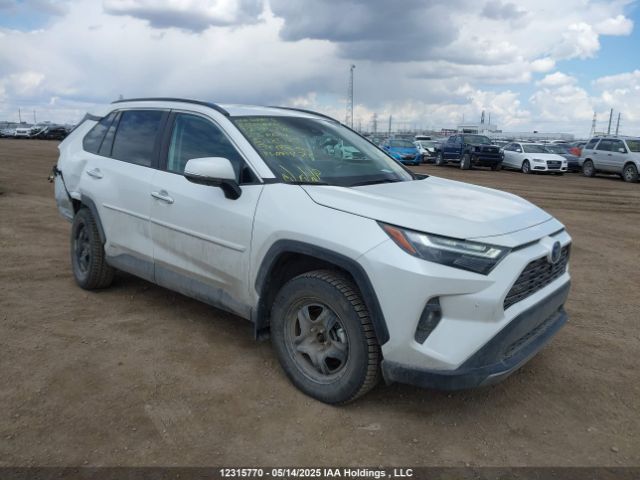 2T3DWRFV0PW185129 2023 TOYOTA