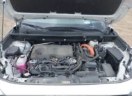 2T3DWRFV0PW185129 2023 TOYOTA