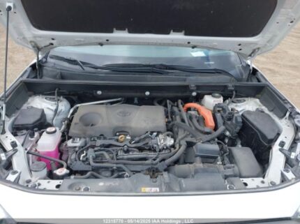2T3DWRFV0PW185129 2023 TOYOTA