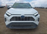 2T3DWRFV0PW185129 2023 TOYOTA