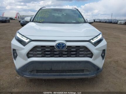 2T3DWRFV0PW185129 2023 TOYOTA