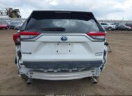 2T3DWRFV0PW185129 2023 TOYOTA