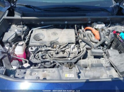 2T3DWRFV5MW105366 2021 TOYOTA