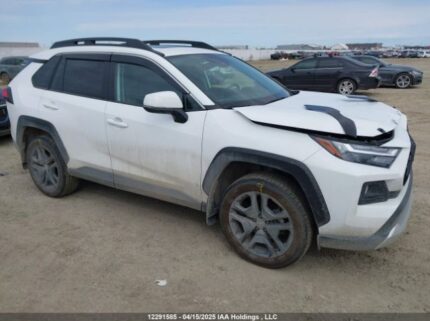 2T3J1RFV0RW424649 2024 TOYOTA