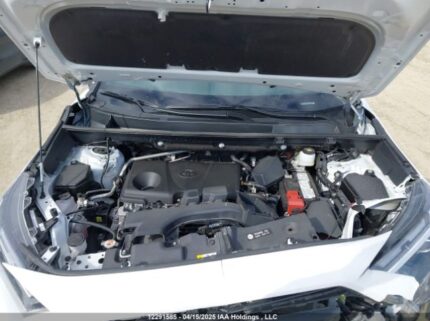 2T3J1RFV0RW424649 2024 TOYOTA