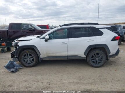 2T3J1RFV0RW424649 2024 TOYOTA