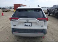 2T3J1RFV0RW424649 2024 TOYOTA