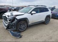 2T3J1RFV0RW424649 2024 TOYOTA