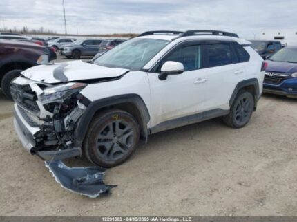 2T3J1RFV0RW424649 2024 TOYOTA