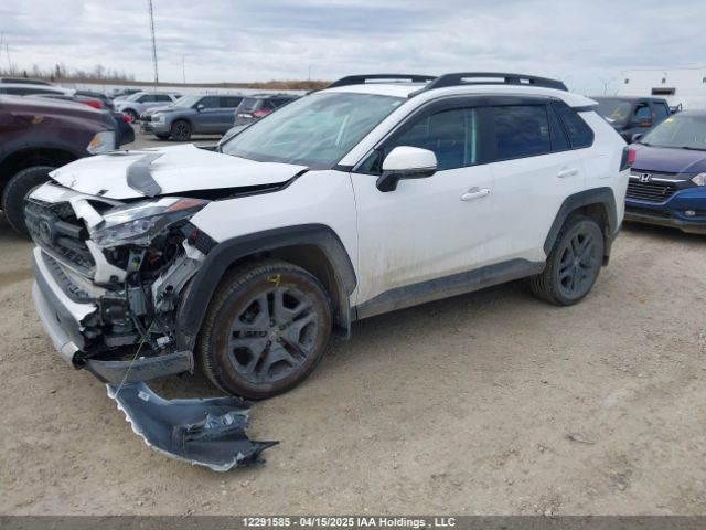 2T3J1RFV0RW424649 2024 TOYOTA