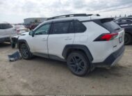 2T3J1RFV0RW424649 2024 TOYOTA