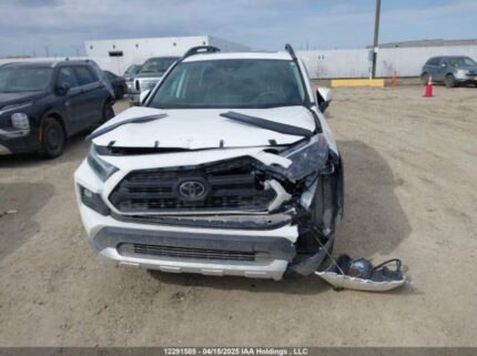 2T3J1RFV0RW424649 2024 TOYOTA
