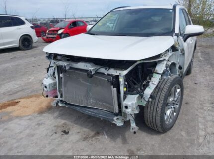 2T3R1RFV0PW336930 2023 TOYOTA