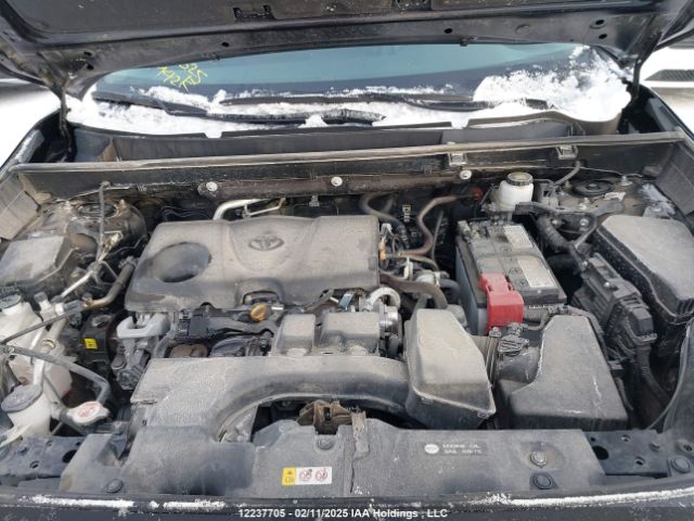 2T3R1RFV0RC417253 2024 TOYOTA