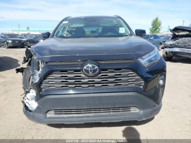 2T3R1RFV0RC417253 2024 TOYOTA
