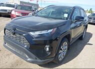 2T3R1RFV0RC417253 2024 TOYOTA