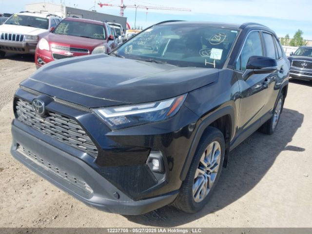 2T3R1RFV0RC417253 2024 TOYOTA