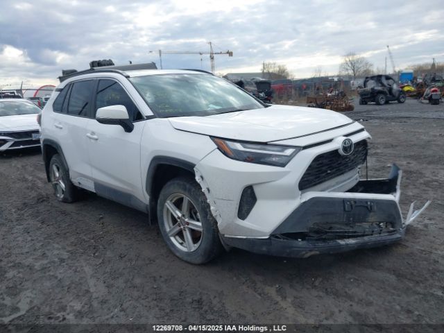 2T3R1RFV9RC426145 2024 TOYOTA