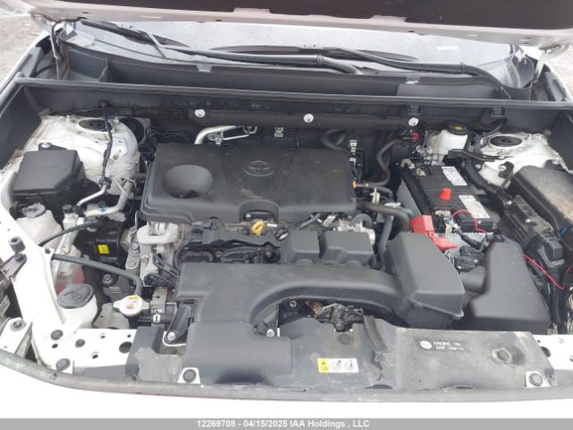 2T3R1RFV9RC426145 2024 TOYOTA
