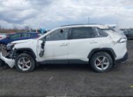 2T3R1RFV9RC426145 2024 TOYOTA