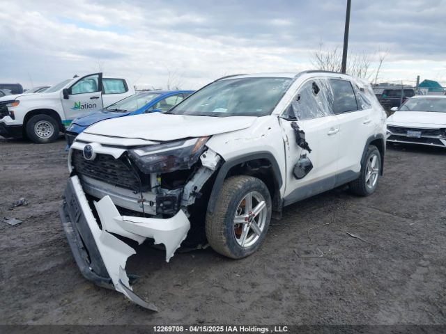 2T3R1RFV9RC426145 2024 TOYOTA
