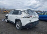 2T3R1RFV9RC426145 2024 TOYOTA