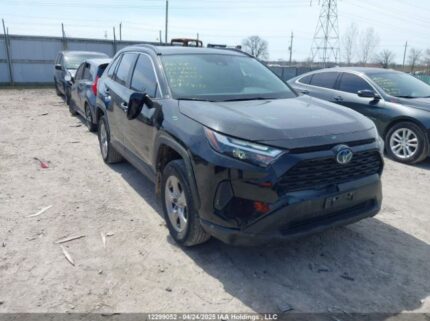 2T3RWRFV2PW162957 2023 TOYOTA