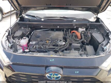 2T3RWRFV2PW162957 2023 TOYOTA