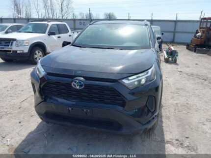 2T3RWRFV2PW162957 2023 TOYOTA