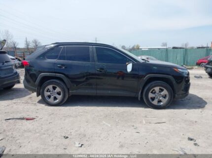 2T3RWRFV2PW162957 2023 TOYOTA