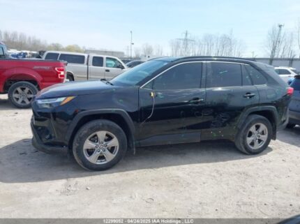 2T3RWRFV2PW162957 2023 TOYOTA