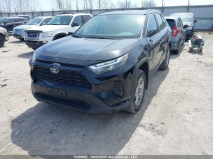 2T3RWRFV2PW162957 2023 TOYOTA