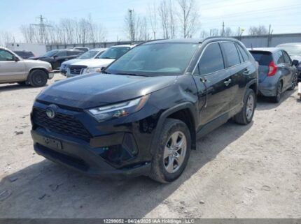 2T3RWRFV2PW162957 2023 TOYOTA