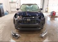 2T3RWRFV7SW259242 2025 TOYOTA