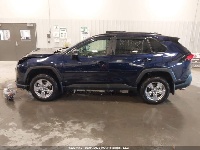 2T3RWRFV7SW259242 2025 TOYOTA