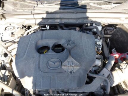 3MVDMBCM1RM619246 2024 MAZDA