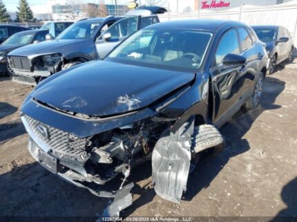 3MVDMBCM1RM619246 2024 MAZDA