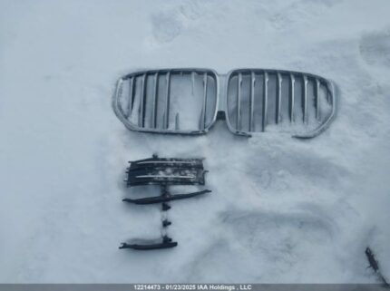 5UXCR6C03M9E95461 2021 BMW